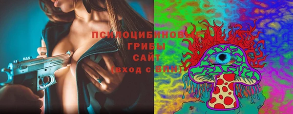 эйфоретик Аркадак