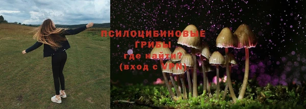 а пвп мука Арсеньев