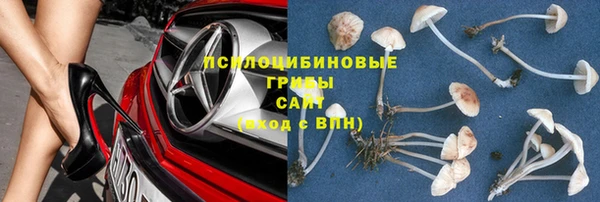 эйфоретик Аркадак