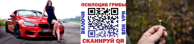 Псилоцибиновые грибы мухоморы  закладка  Грязи 